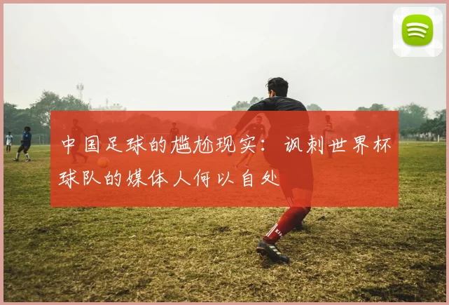 中国足球的尴尬现实：讽刺世界杯球队的媒体人何以自处